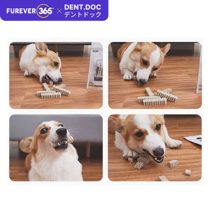 DentDoc 45pcs Premium Dog Chewing Stick: 4-Flavor Rawhide Dental Treats