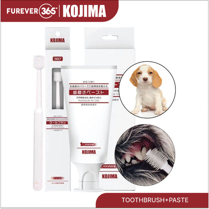 KOJIMA 3-Piece Dental Set: Toothbrush, Paste & Lactic Mouthwash