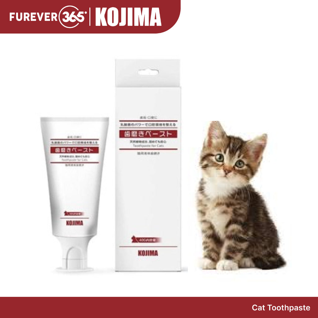 KOJIMA Microfiber Toothbrush & Toothpaste Set: Oral Hygiene for Pets