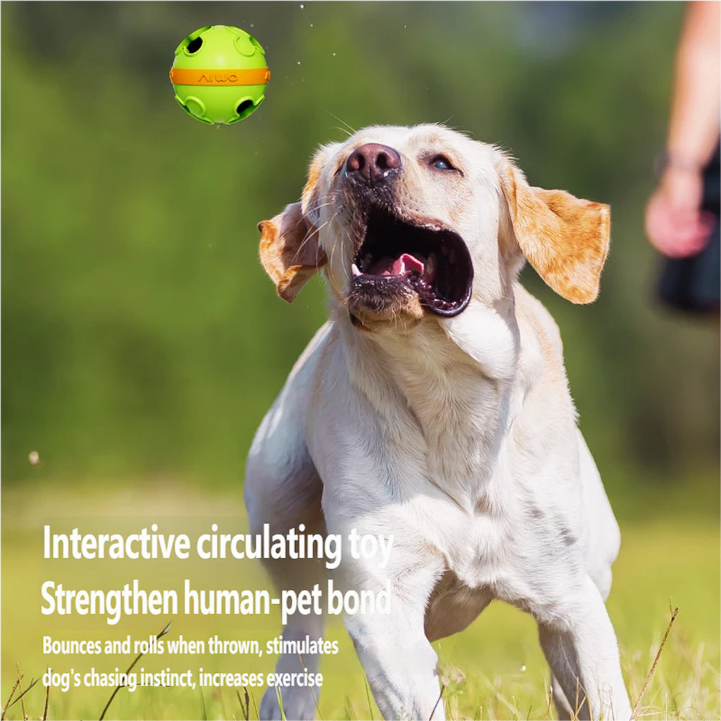 AIWO Interactive Dental Treat Ball: Teeth Cleaning & Feeding Toy for Dogs