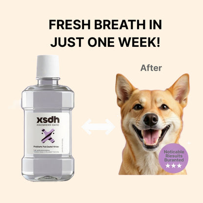 XSDH 250ml Probiotic Dental Water Additive: Fresh Breath & Oral Hygiene