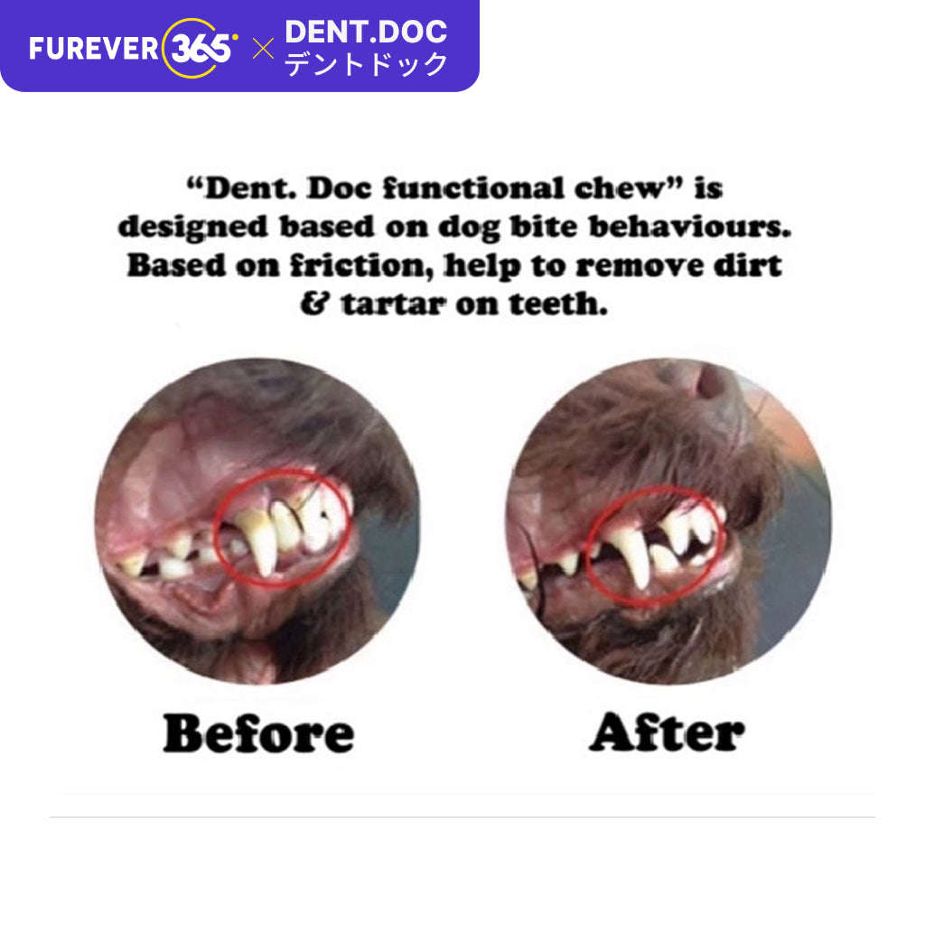 DentDoc Calcium Dental Chew Bones: Durable Oral Care Snack for Dogs