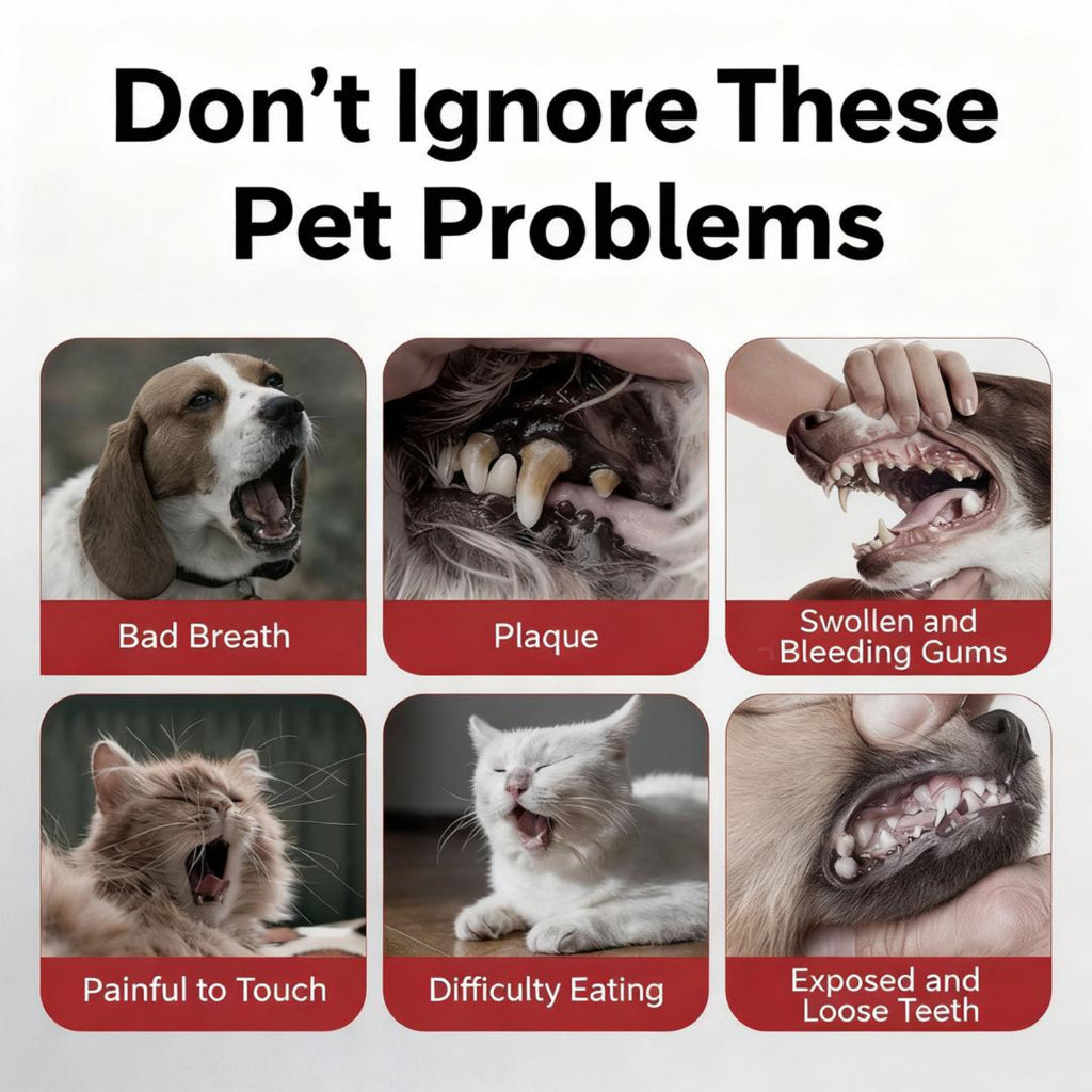 KOJIMA Microfiber Toothbrush & Toothpaste Set: Oral Hygiene for Pets