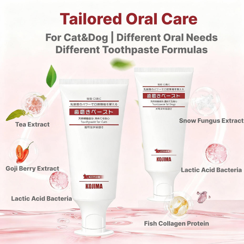 KOJIMA Microfiber Toothbrush & Toothpaste Set: Oral Hygiene for Pets