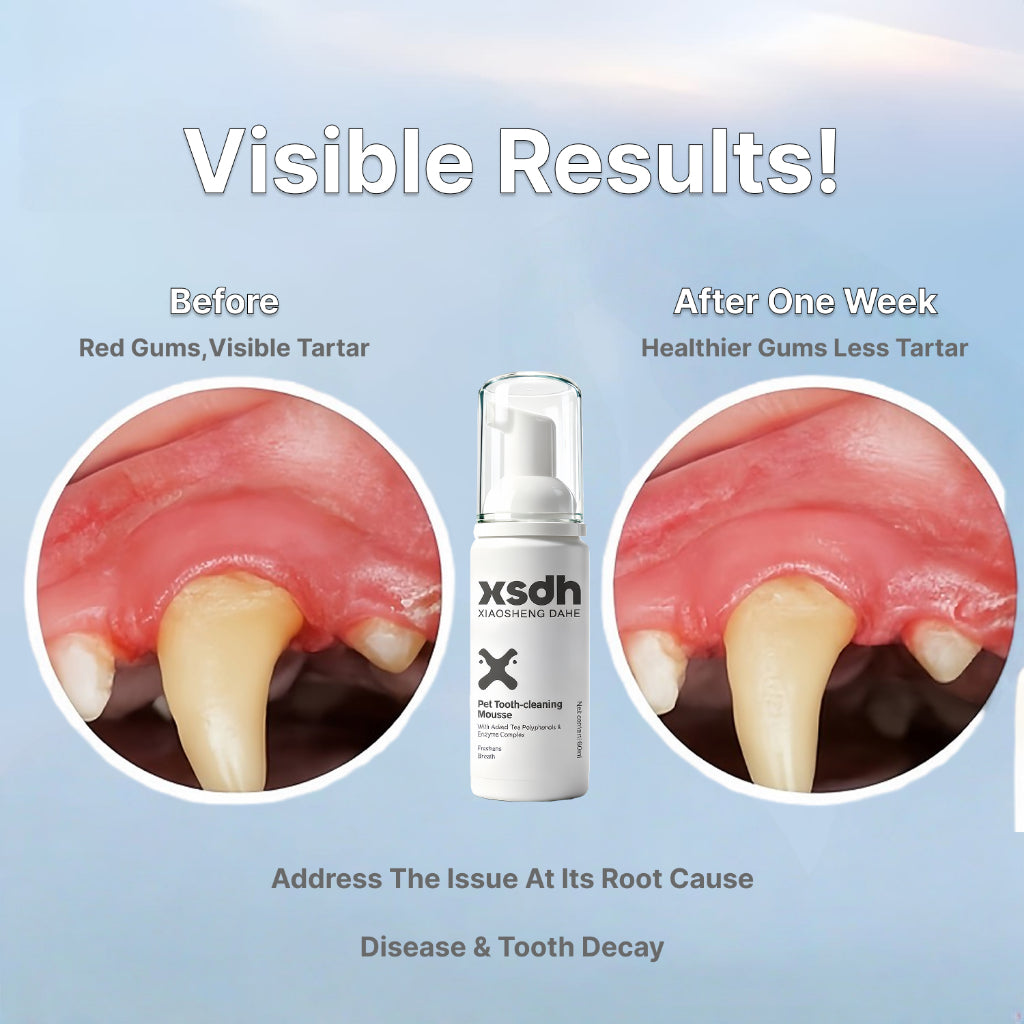 XSDH 60ml Dental Mousse Spray: No-Rinse Teeth Cleaning for Cats & Dogs