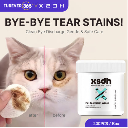 KOJIMA Ag+ Silver Ion Pet Wet Tissue: Antibacterial Wipes for Cats & Dogs 80pcs