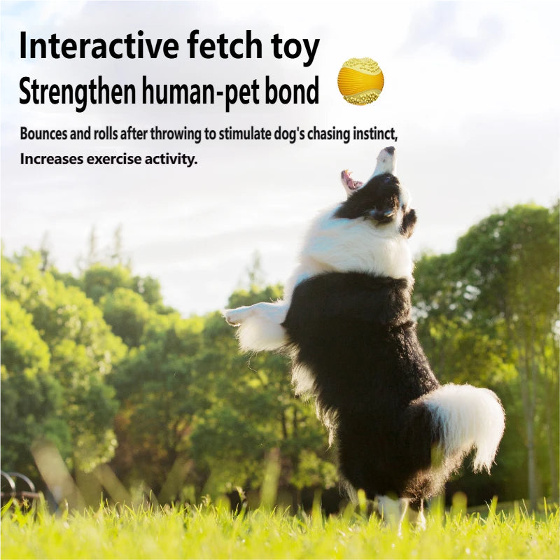 AIWO TPR Squeaky Ball Toy: Bite-Resistant Teeth Cleaning Chew for Dogs