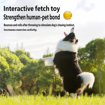 AIWO TPR Squeaky Ball Toy: Bite-Resistant Teeth Cleaning Chew for Dogs