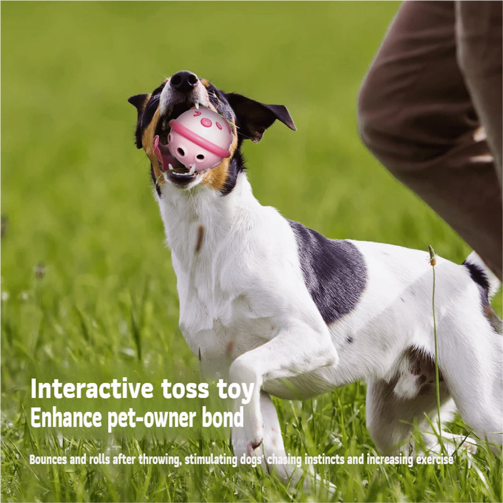 AIWO TPR Squeaky Feeding Ball: Interactive Slow Feeder & Dental Toy