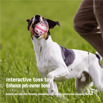 AIWO TPR Squeaky Feeding Ball: Interactive Slow Feeder & Dental Toy