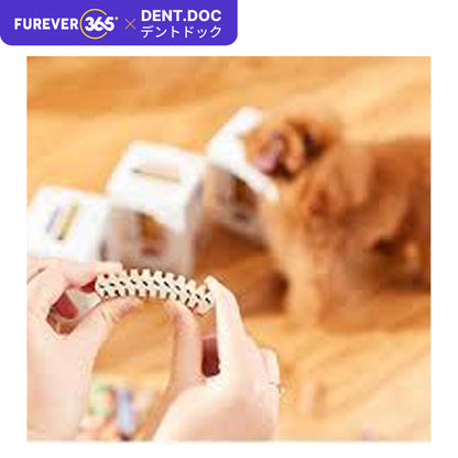 DentDoc 45pcs Premium Dog Chewing Stick: 4-Flavor Rawhide Dental Treats