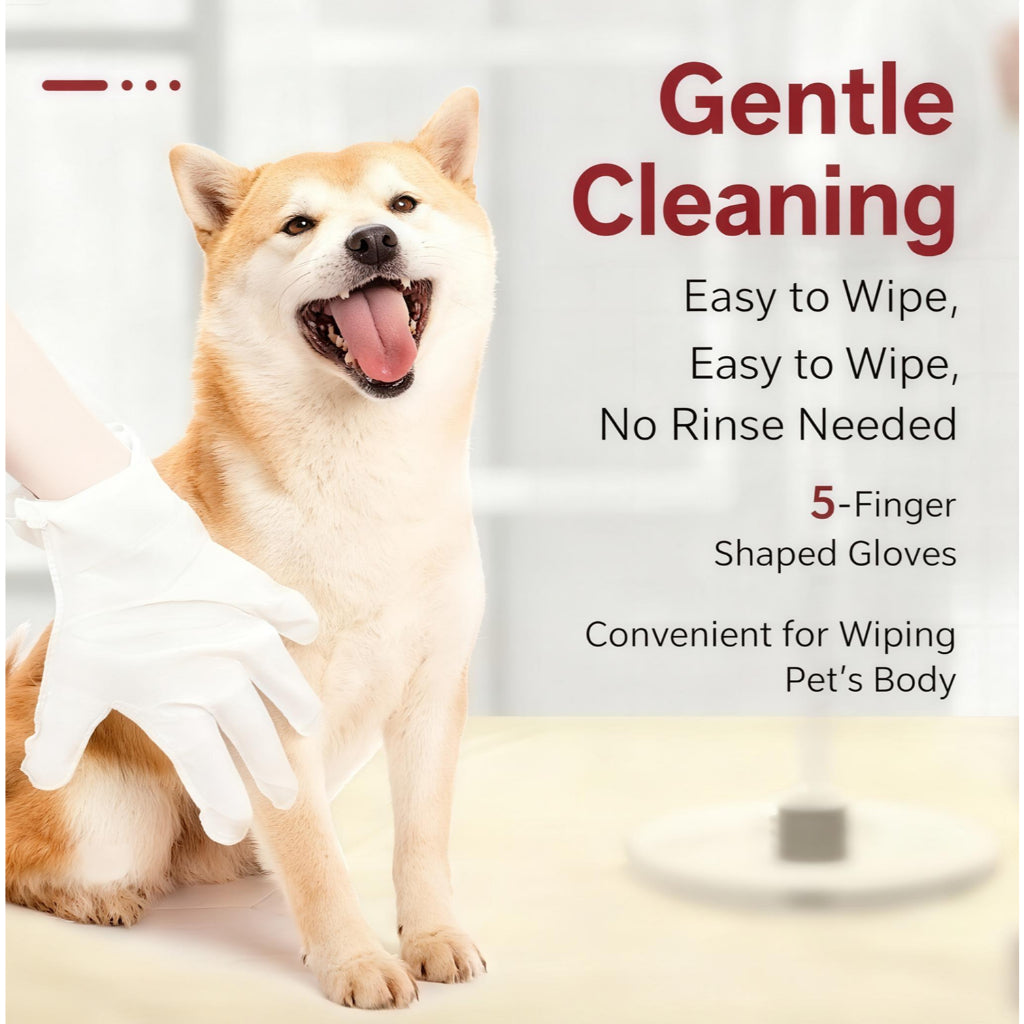 KOJIMA 6pcs Mite Removal Grooming Gloves: Fragrance-Free Waterless Pet Cleaning