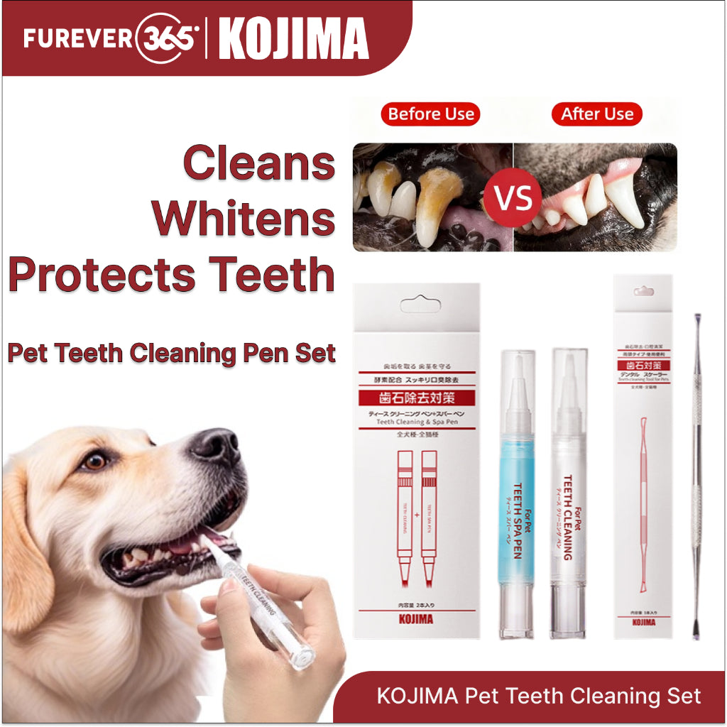 KOJIMA 3-Piece Dental Set: Toothbrush, Paste & Lactic Mouthwash