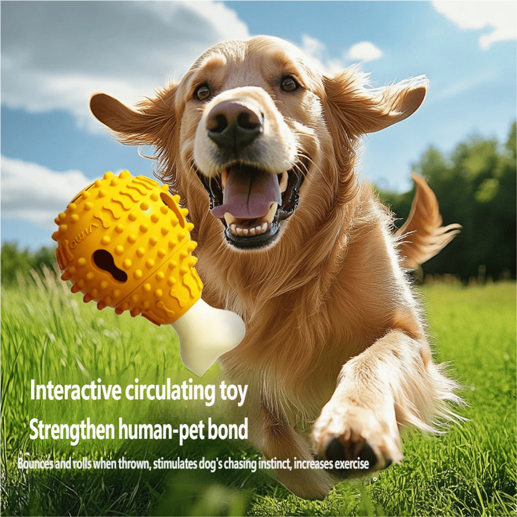 AIWO TPR Squeaky Feeding Ball: Interactive Slow Feeder & Dental Toy