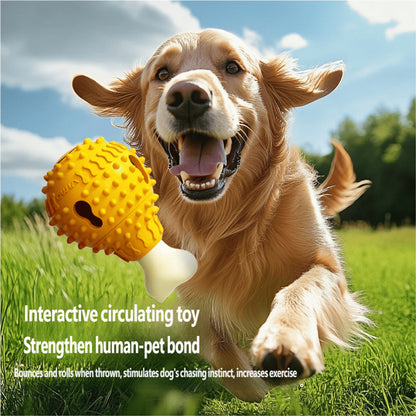 AIWO TPR Squeaky Feeding Ball: Interactive Slow Feeder & Dental Toy