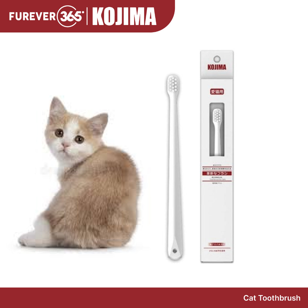 KOJIMA Microfiber Toothbrush & Toothpaste Set: Oral Hygiene for Pets