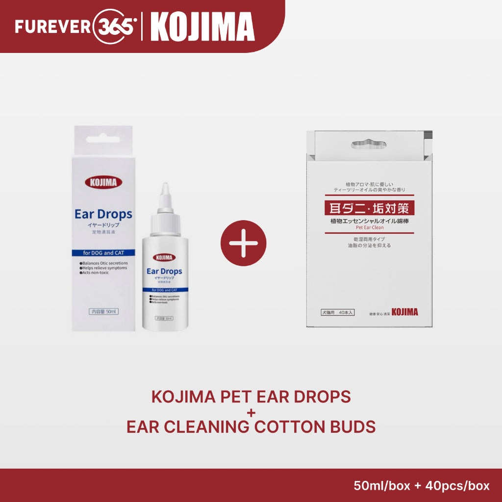 KOJIMA 2-Piece Ear Care Set: 50ml Drops + Essential Oil Cotton Buds