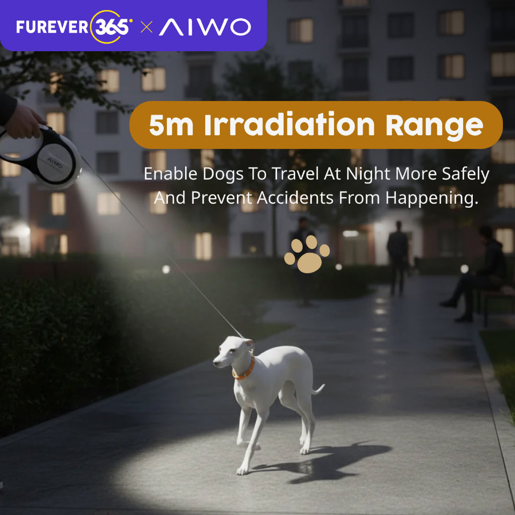 FUREVER365 3m/5m Retractable Pet Leash: 150kg Pull Limit LED Light Traction Rope