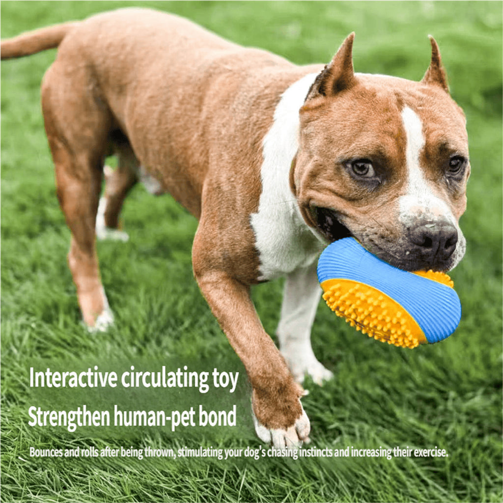 AIWO TPR Squeaky Ball Toy: Bite-Resistant Teeth Cleaning Chew for Dogs