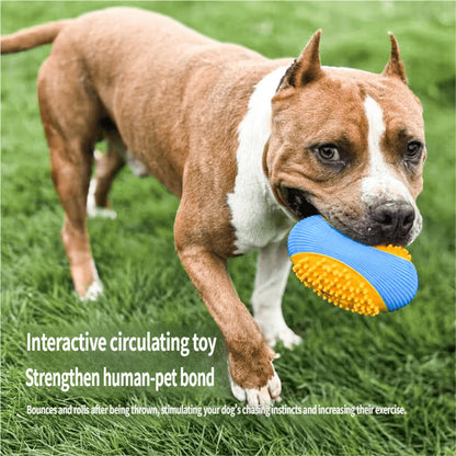 AIWO TPR Squeaky Ball Toy: Bite-Resistant Teeth Cleaning Chew for Dogs
