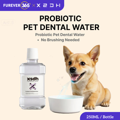XSDH 250ml Probiotic Dental Water Additive: Fresh Breath & Oral Hygiene
