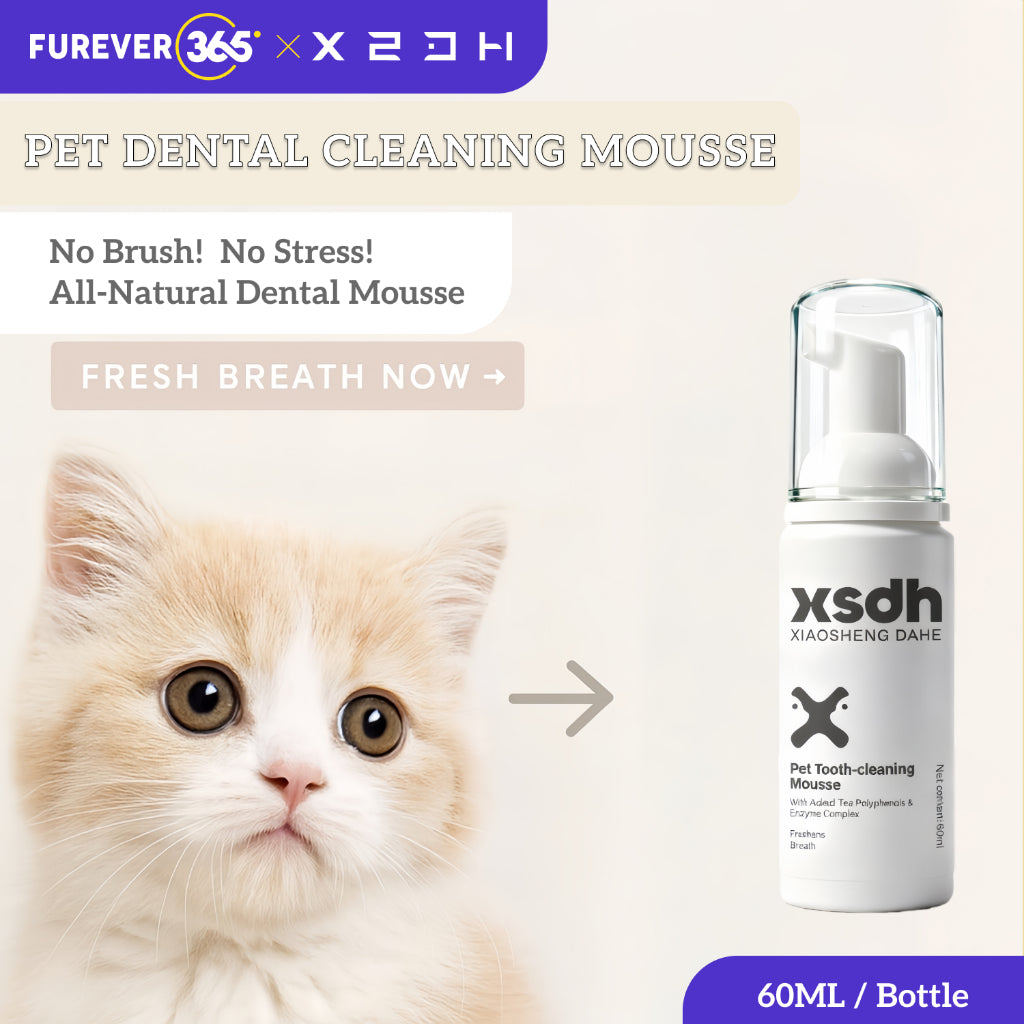 XSDH 60ml Dental Mousse Spray: No-Rinse Teeth Cleaning for Cats & Dogs