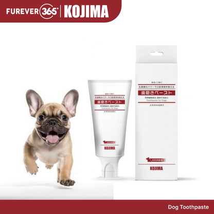 KOJIMA Microfiber Toothbrush & Toothpaste Set: Oral Hygiene for Pets
