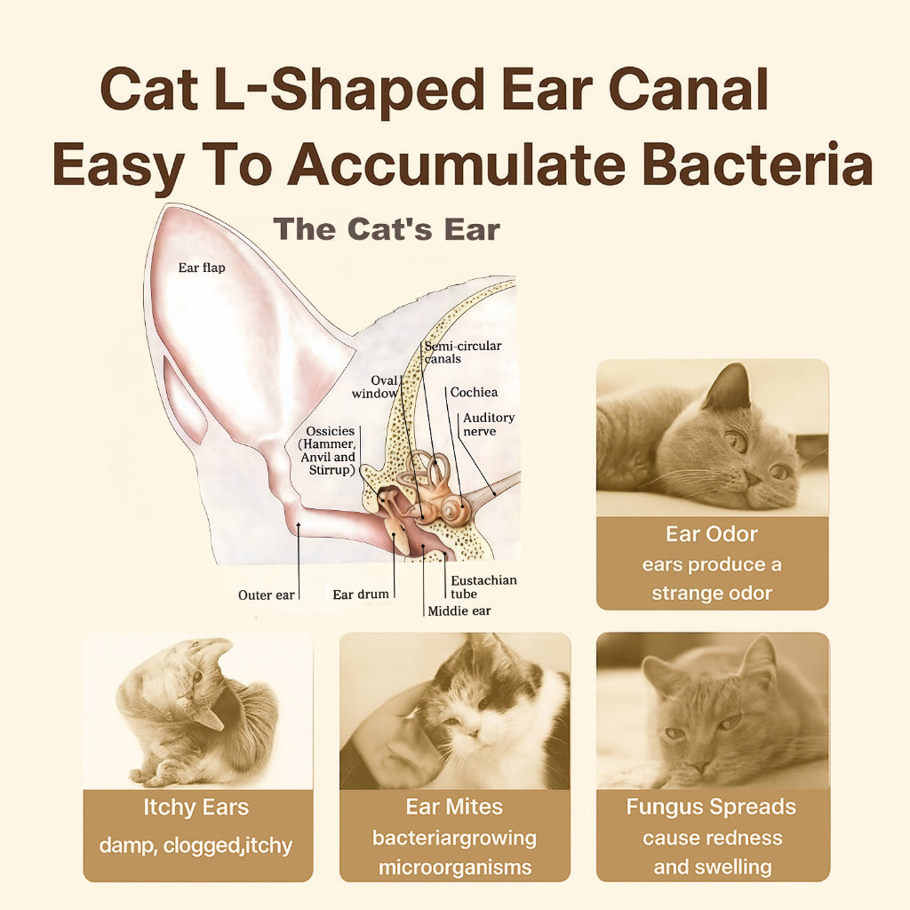 XSDH 60ml Pet Ear Cleaner Solution: Gentle Treatment for Mites & Odor