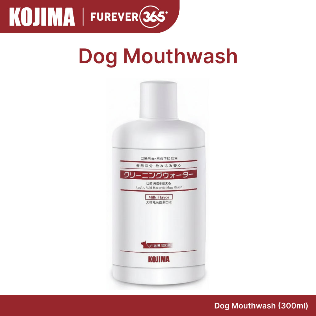 KOJIMA 300ml Lactic Acid Mouthwash: Teeth Cleaning & Fresh Breath for Dogs
