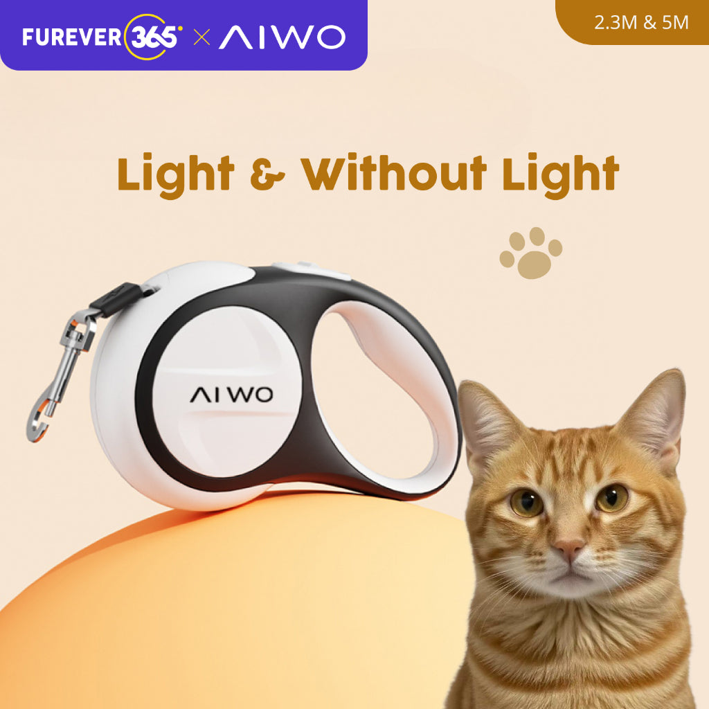 FUREVER365 3m/5m Retractable Pet Leash: 150kg Pull Limit LED Light Traction Rope