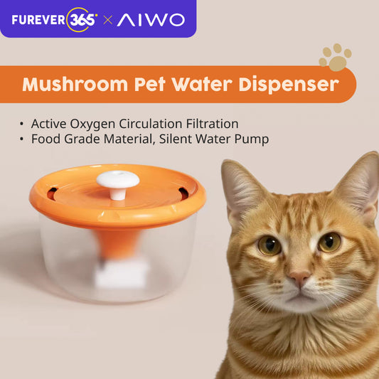AIWO 1.8L Heated Automatic Pet Water Fountain: Compact Capacity with Heating