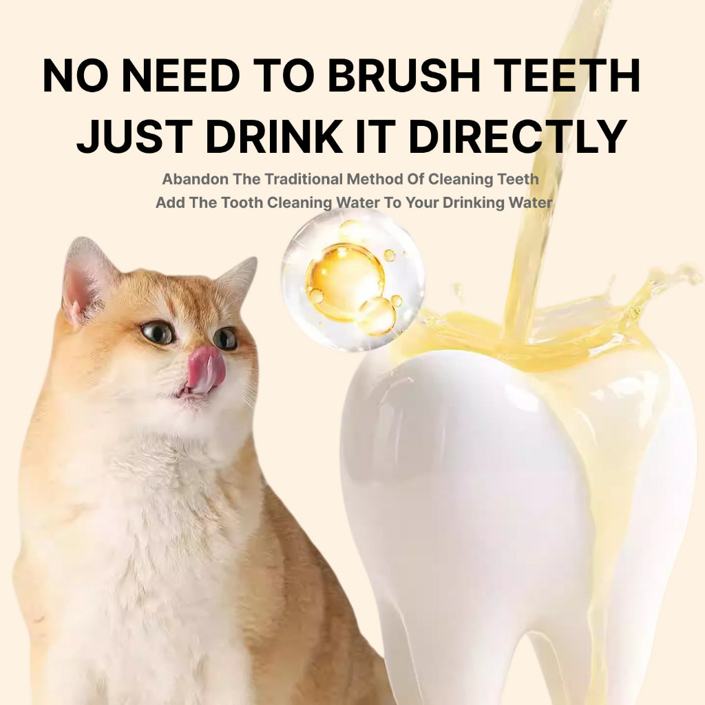 XSDH 250ml Probiotic Dental Water Additive: Fresh Breath & Oral Hygiene