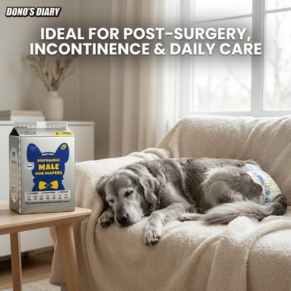 DONO'S DIARY Pet Diapers Male Female Disposable Dog Nappies Soft Pull-Ups Odor Control Leak-Proof