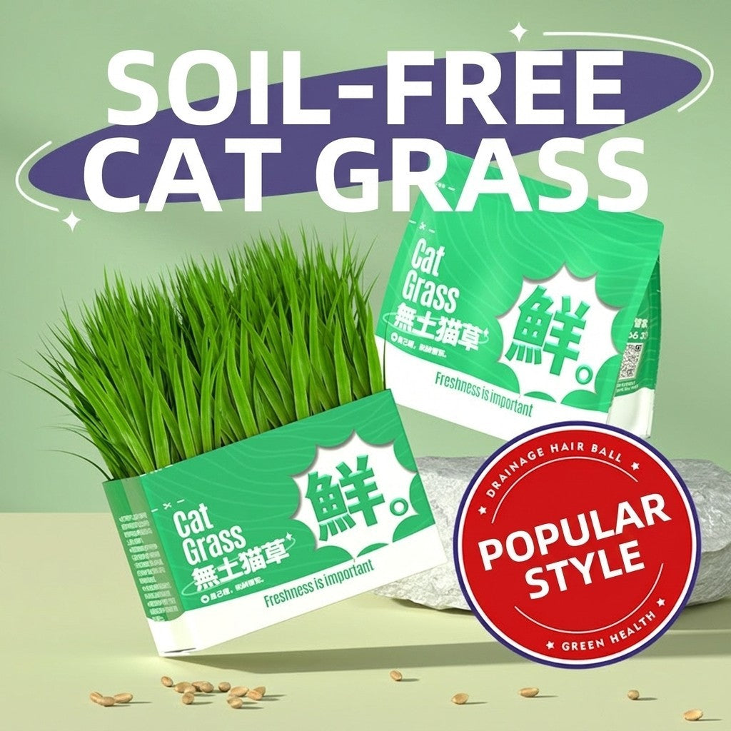 Cat Grass Seed Hydroponic Planting Kit Kitten Wheat Grass Hairball Remover Catnip Box Set
