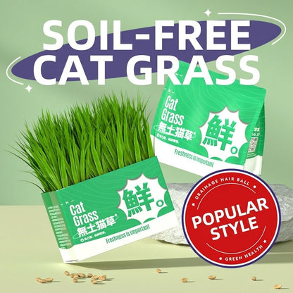 Cat Grass Seed Hydroponic Planting Kit Kitten Wheat Grass Hairball Remover Catnip Box Set