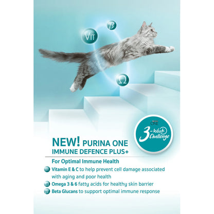 Purina One 1.2kg Dry Cat Food (Hairball Control/ Salmon/ Urinary Care/ Kitten/ Indoor Advantage)