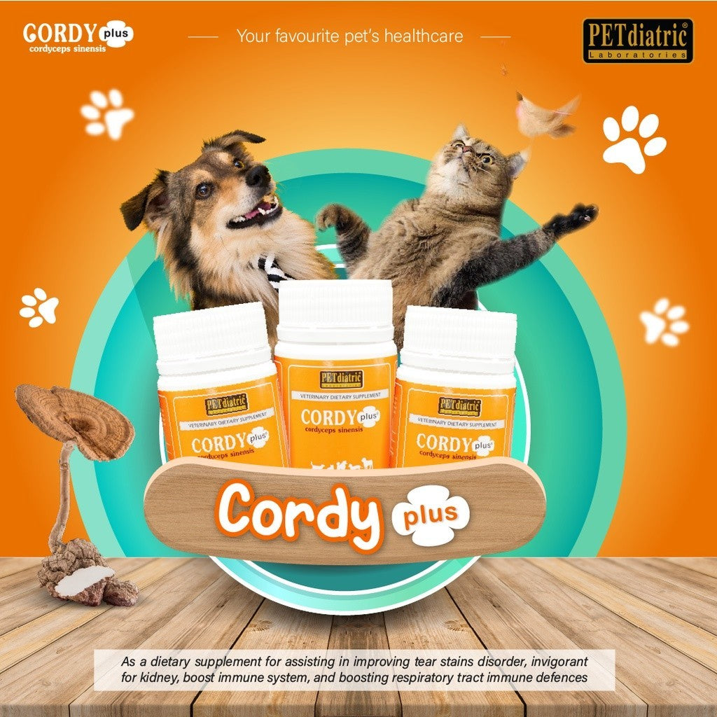 Cordyplus 30 for Dogs and Cats. 30 Tablets - Flu Supplement - Tears stain control - Renal Care