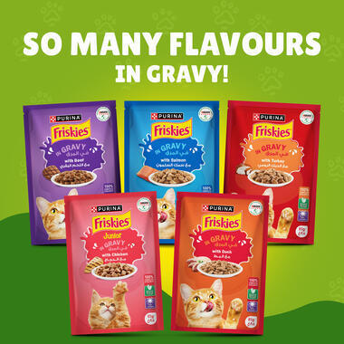 PURINA FRISKIES Gravy Adult Wet Cat Food 70g (4 Flavour)