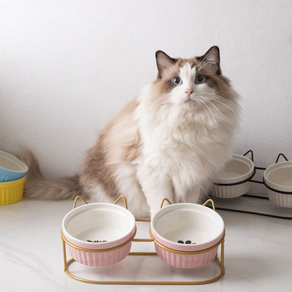 Elevated Ceramic Double Cat Bowl with Metal Stand 15° Tilted Neck Protection Anti-Vomiting Pet Feeder