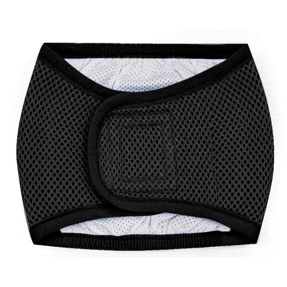 Breathable Mesh Male Dog Physiological Pants Pet Belly Band Anti-Marking Safety Belt Seluar Anjing