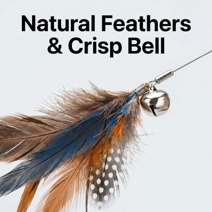 FUREVER365 YM-31 Creative Handle Cat Teaser - Ergonomic Grip High-Elasticity Steel Wire Feather Toy