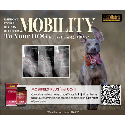 Mobiflex® Plus (UC-II) Improve Joint Mobility & Flexibility for Dogs and Cats.  60s/bottle - better than glucaosamine