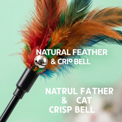 FUREVER365 YM-21 Long Feather Cat Teaser - Extra Long High-Elasticity Steel Wire Bouncing Wand Toy