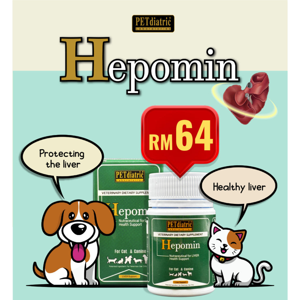Hepomin Nutraceutical For Liver Health Support & Protect for Dogs and Cats. 60 Tablets