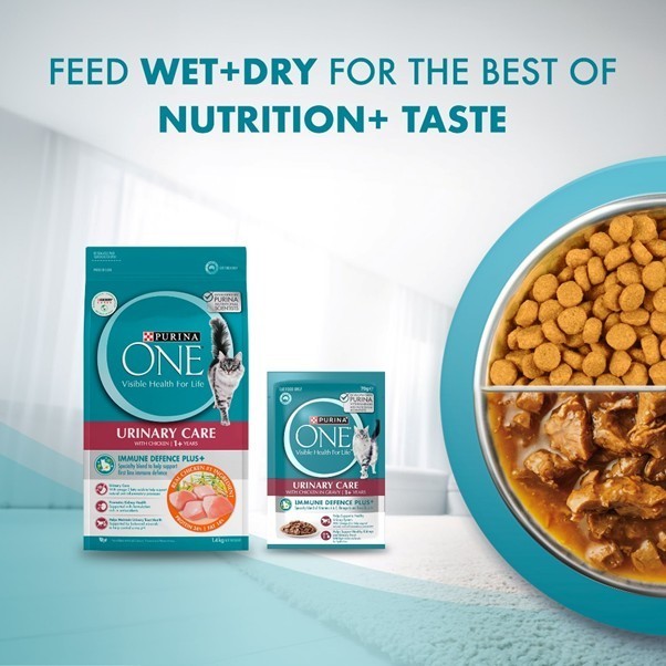 Purina One Cat Wet Food / Pouch 70gm