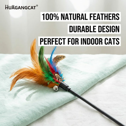 FUREVER365 YM-21 Long Feather Cat Teaser - Extra Long High-Elasticity Steel Wire Bouncing Wand Toy