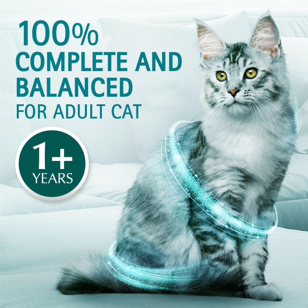 Purina One Cat Dry Food 380g Premium Adult Kitten Indoor Urinary Care Makanan Kering Kucing 猫粮干粮