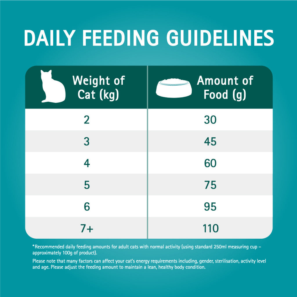 Purina One 1.2kg Dry Cat Food (Hairball Control/ Salmon/ Urinary Care/ Kitten/ Indoor Advantage)