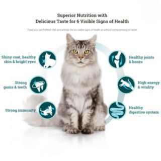 Purina One Cat Dry Food 380g Premium Adult Kitten Indoor Urinary Care Makanan Kering Kucing 猫粮干粮