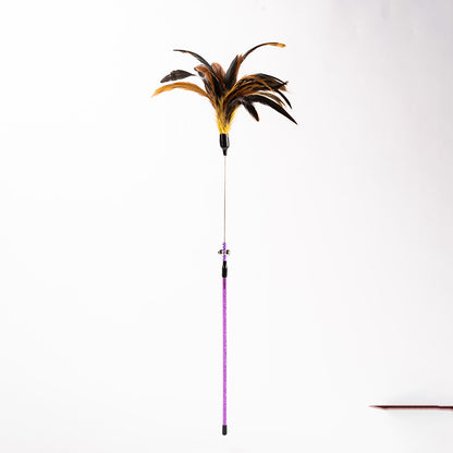 FUREVER365 YM-04 Long Feather Cat Teaser - Extra Long High-Elasticity Steel Wire Bouncing Wand Toy